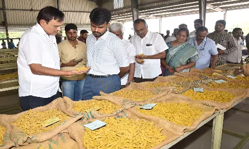 ஒழுங்குமுறை விற்பனைக் கூடத்தினை கலெக்டர் நேரில் ஆய்வு