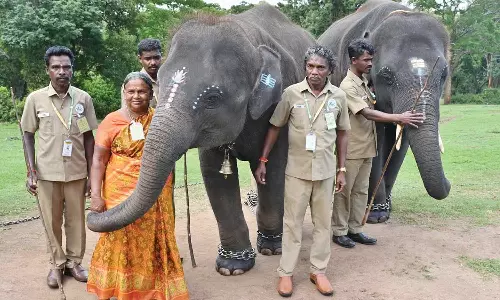 நிதி உதவி செய்வதாக ஏமாற்றிவிட்டனர்.. இயக்குனர், தயாரிப்பாளருக்கு நோட்டீஸ் அனுப்பிய பாகன் தம்பதி