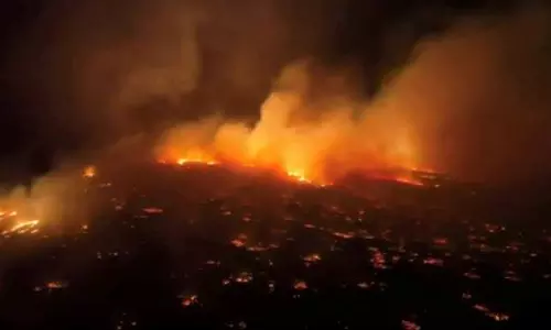 அமெரிக்காவில் சோகம் - ஹவாய் காட்டுத் தீயில் சிக்கி 6 பேர் பலி