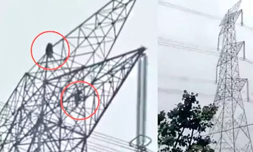 150 அடி உயர மின் கோபுரத்தில் ஏறி சண்டை போட்ட காதல் ஜோடி