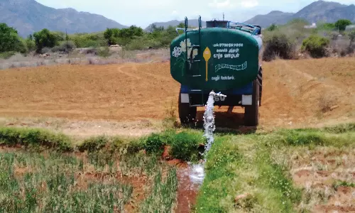 மழையின்றி நிலத்தடி நீர் மட்டம் பாதிப்பு ஆண்டிபட்டி பகுதியில் லாரி தண்ணீர் மூலம் பயிரை காப்பாற்றும் விவசாயிகள்