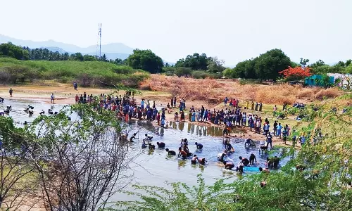 வடமதுரை அருகே மீன்பிடி திருவிழாவில் மீன்களை அள்ளிச்சென்ற கிராம மக்கள்