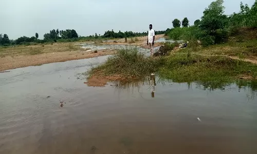வறண்டு கிடந்த கெடிலம் ஆற்றுக்கு தண்ணீர் வரத்து தொடங்கியது