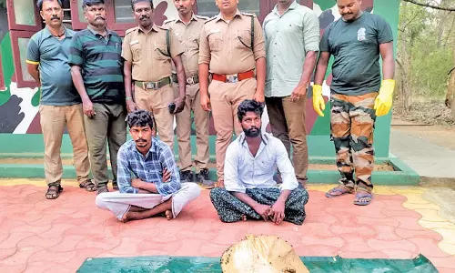 களக்காடு அருகே கடமானை வேட்டையாடிய கும்பல் சிக்கியது எப்படி? பரபரப்பு தகவல்கள்