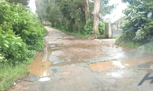 குண்டும் குழியுமாக காணப்படும் ஊட்டி-பார்சன்ஸ்வேலி சாலை