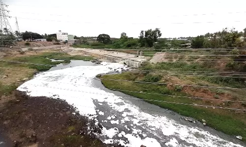 20 ஆண்டுகளுக்கும் மேலாக கழிவுகள் கலந்து மாசுடன் காணப்படும் நொய்யல் ஆறு