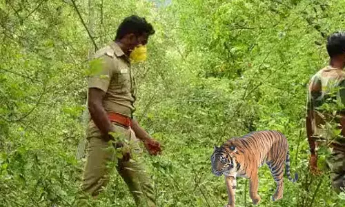 ஊதியூர் மலைப்பகுதியில் பதுங்கியிருக்கும் சிறுத்தையை கண்காணிக்க வனத்துறையினர் தீவிர ரோந்து