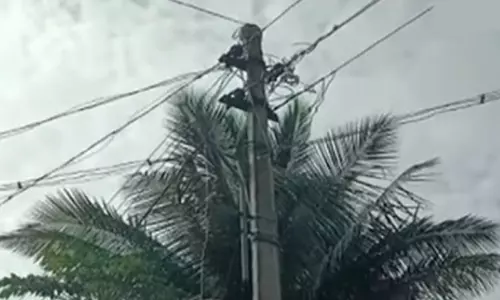 காரிமங்கலம் அருகே மின்சாரம் தாக்கி தாய்-மகன் உள்பட 3 பேர் பலி