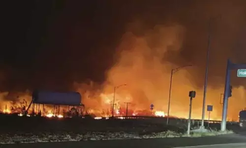 அமெரிக்காவின் ஹவாய் தீவு பகுதியில் காட்டுத்தீயில் சிக்கி பலியானவர்கள் எண்ணிக்கை 53-ஆக உயர்வு