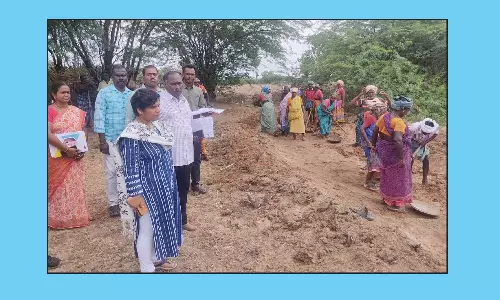 வளர்ச்சித்திட்ட பணிகளை ஆய்வு செய்த கலெக்டர்