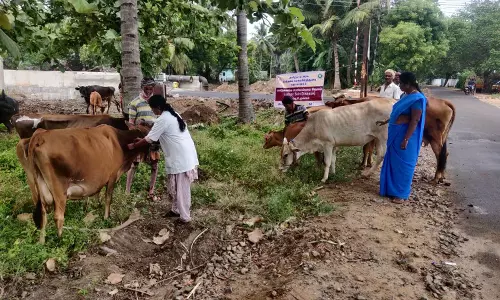 பெரியம்மை நோய் தடுப்பு ஊசி முகாம்