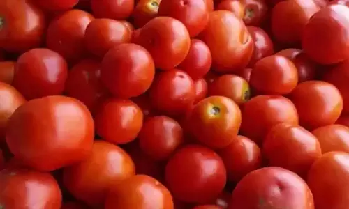 கோவையில் தக்காளி வரத்து அதிகரிப்பால் விலை ரூ.60 ஆக குறைந்தது