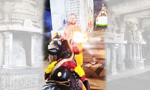 சிவன் கோவிலில் படம் எடுத்து ஆடிய நாகப்பாம்பு