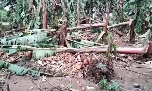 கோபிசெட்டிபாளையத்தில் சூறாவளி காற்றுடன் பலத்த மழை