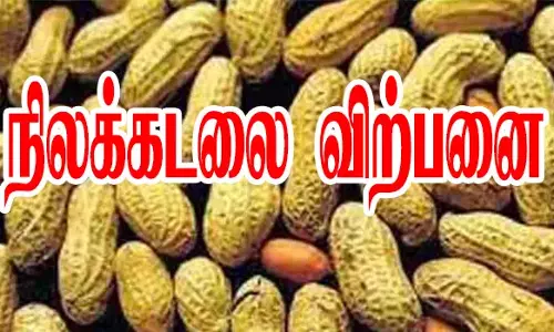 நிலகடலை ரூ.3 லட்சத்து16ஆயிரத்து 855-க்கு விற்பனை