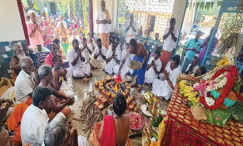 செந்துறை  அருகே பூமாரியம்மன் கோவிலில் மண்டல பூஜை