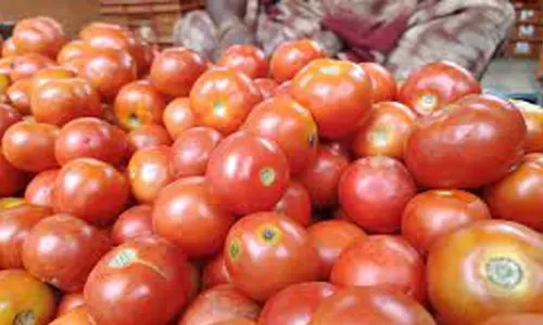 சேலம் உழவர் சந்தைகளில் தக்காளி ரூ.35-க்கு விற்பனை