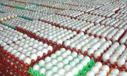 முட்டை விலை 455 காசுகளாக நிர்ணயம்