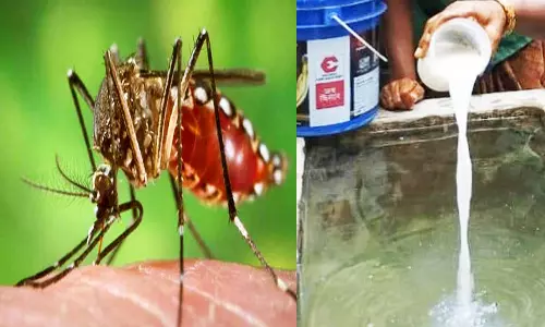 டெங்கு கொசு ஒழிப்பு பணி