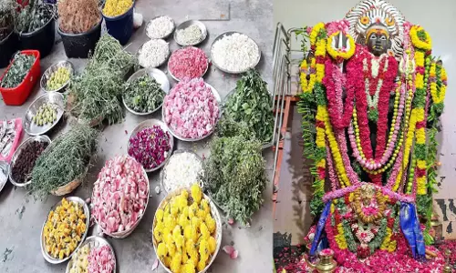 தூத்துக்குடி சித்தர் பீடத்தில் வருகிற 16-ந்தேதி ஆடி அமாவாசை யாகம் - சீனிவாச சித்தர் தகவல்