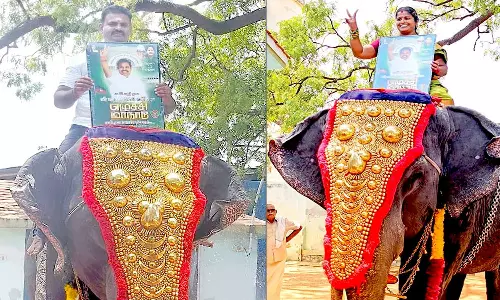 தோவாளையில் அ.தி.மு.க. நிர்வாகிகள் யானை மீது அமர்ந்து நூதன பிரசாரம்