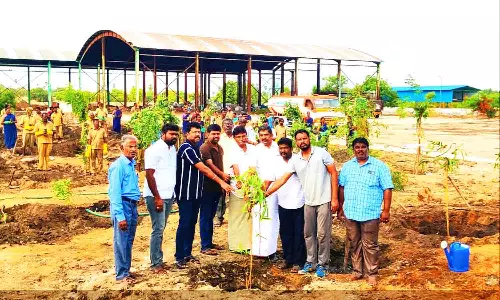 வெள்ளகோவில் நகராட்சி உரக்கிடங்கில் 120 மரக்கன்றுகள் நடவு