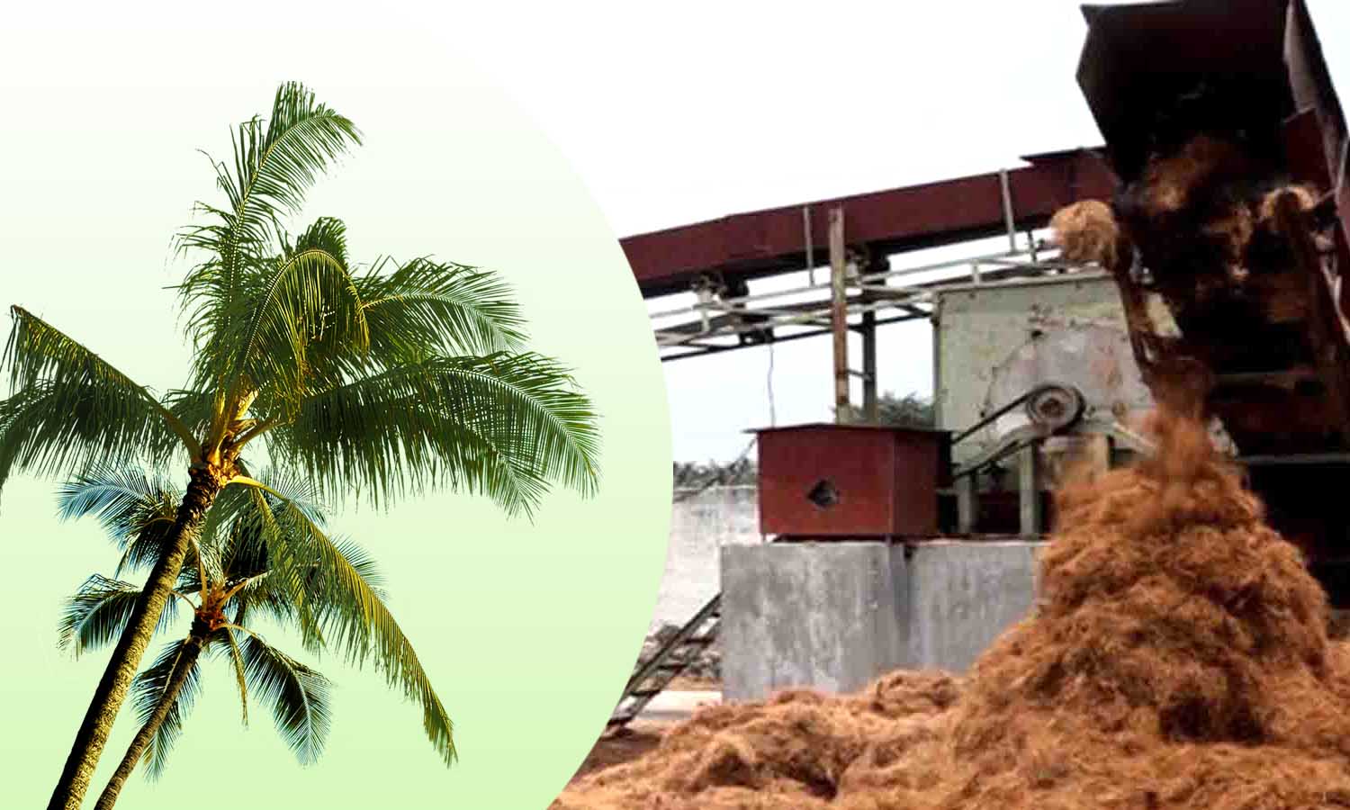 தென்னை நார் தொழிற்சாலைகளை வெள்ளை நிற பிரிவில் தொடர நடவடிக்கை எடுக்க வேண்டும்