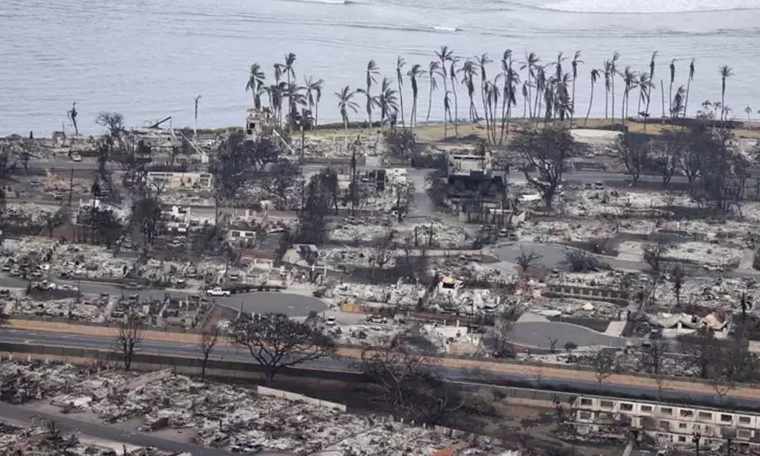 ஹவாய் காட்டுத் தீயில் சிக்கி பலியானோர் எண்ணிக்கை 93 ஆக அதிகரிப்பு