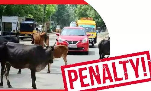 கால்நடைகள் சாலைகளில் சுற்றித்திரிந்தால் அபராதம் -  நகராட்சி ஆணையர் எச்சரிக்கை