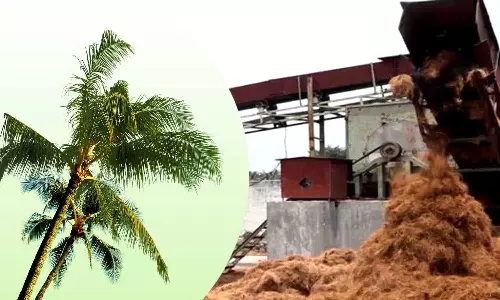 தென்னை நார் தொழிற்சாலைகளை வெள்ளை நிற பிரிவில் தொடர நடவடிக்கை எடுக்க வேண்டும்