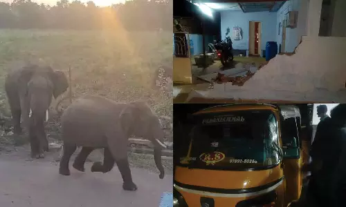 மேட்டுப்பாளையத்தில் வீட்டு சுற்றுச்சுவர், ஆட்டோவை சேதப்படுத்திய காட்டு யானைகள்