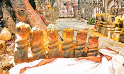 பாம்புகளை அனுப்பி அற்புதம் நிகழ்த்திய இருக்கன்குடியாள்