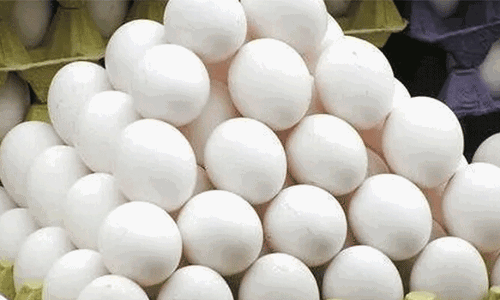 முட்டை விலை மேலும் உயரும்