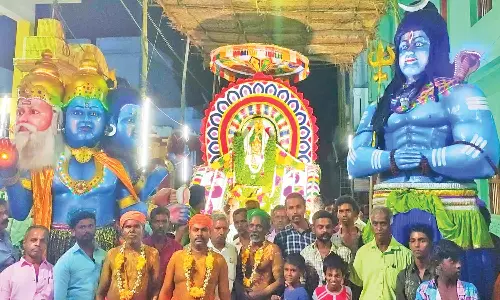 முக்கூடல் கோவில் திருவிழாவில் நாராயண சுவாமி  சப்பர பவனி