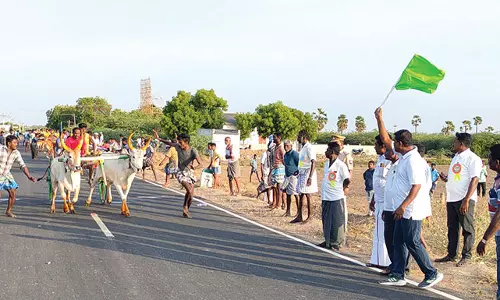 விளாத்திகுளம் அருகே கோவில் விழாவில் மாட்டுவண்டி போட்டி - மார்க்கண்டேயன் எம்.எல்.ஏ. தொடங்கி வைத்தார்