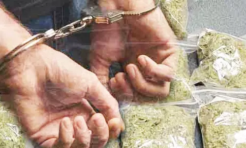 கஞ்சா வைத்திருந்த 2 வாலிபர்கள் கைது