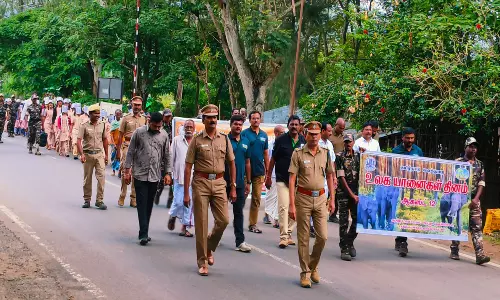 உலக யானைகள் தின விழா பேரணி