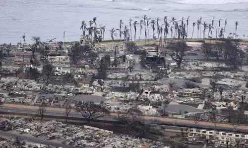 ஹவாய் காட்டுத் தீயில் சிக்கி பலியானோர் எண்ணிக்கை 93 ஆக அதிகரிப்பு