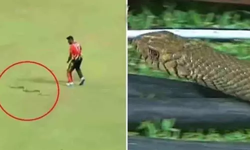 லங்கா பிரீமியர் லீக்கில் மீண்டும் பாம்பு: நூலிலையில் தப்பிய வீரர்- வைரலாகும் வீடியோ