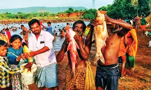 நத்தம் அருகே சத்திரகுளத்தில் மீன் பிடி திருவிழா