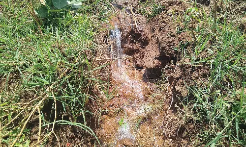 துரைசாமிபுரத்தில் கூட்டு குடிநீர் திட்ட குழாயில் உடைப்பு