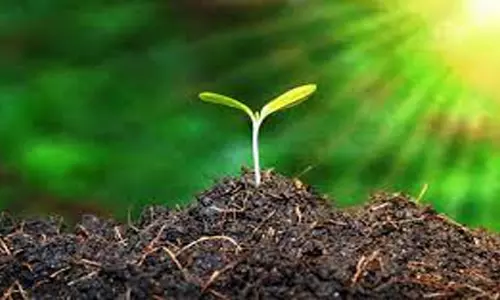 கபிலர்மலை வட்டாரத்தில் இயற்கை இடுபொருட்கள் தயாரிக்க  விவசாயக்குழுவுக்கு மானியம்