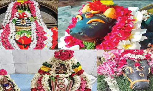 பரமத்தி வேலூர் சுற்றுவட்டார பகுதிகளில் உள்ளசிவன் கோவில்களில் பிரதோஷ வழிபாடு