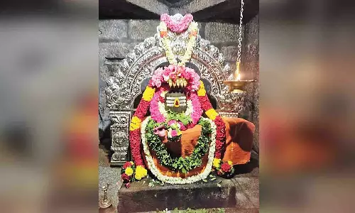 பல்லடம் சிவன் கோவில்களில் பிரதோஷ வழிபாடு