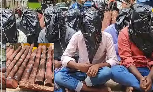 திருப்பதி அருகே செம்மரம் கடத்தல்- தமிழர்கள் 47 பேர் கைது