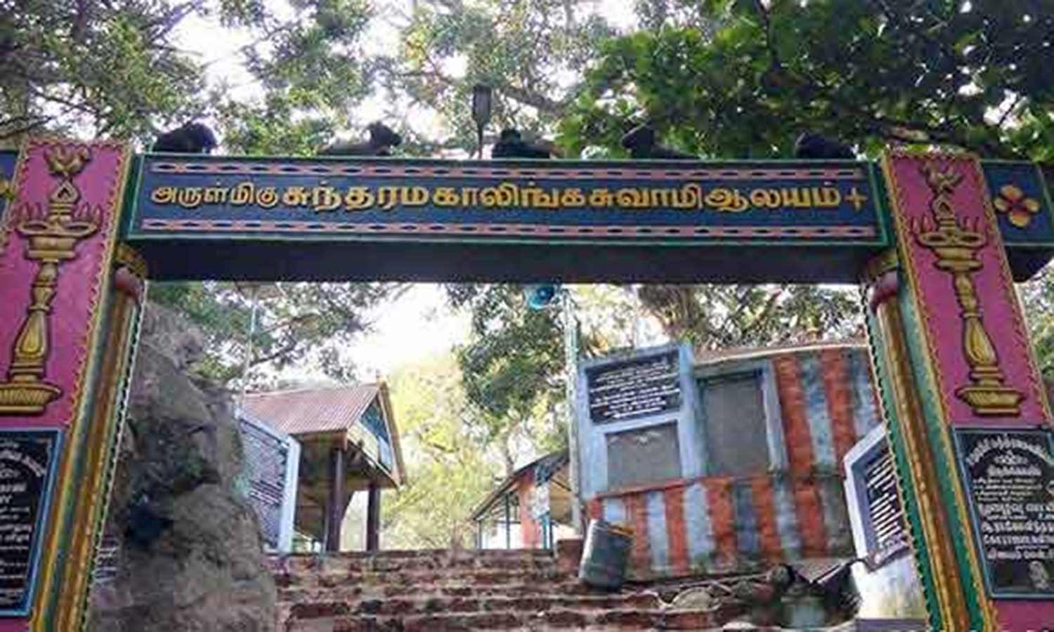 நாளை ஆடி அமாவாசை- சதுரகிரியில் பல்லாயிரக்கணக்கான பக்தர்கள் குவிந்து சாமி தரிசனம்