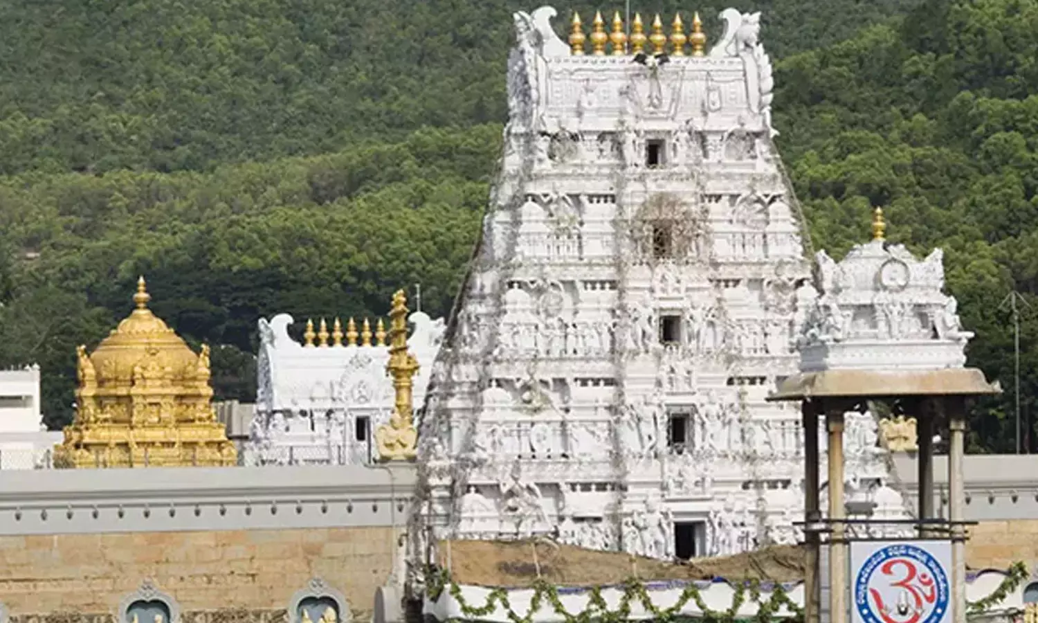 சிறுத்தை வந்தா குச்சியால் விரட்டுங்க.. திருப்பதி தேவஸ்தானம் வேறலெவல் உத்தரவு! சிறுத்தை வந்தா குச்சியால் விரட்டுங்க.. திருப்பதி தேவஸ்தானம் வேறலெவல் உத்தரவு!