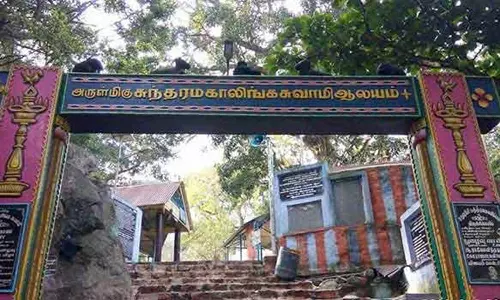 நாளை ஆடி அமாவாசை- சதுரகிரியில் பல்லாயிரக்கணக்கான பக்தர்கள் குவிந்து சாமி தரிசனம்
