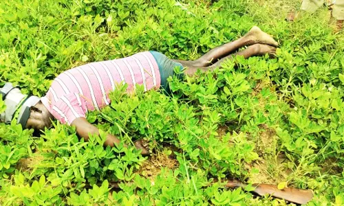 சட்டவிரோதமாக விளைநிலத்தில்  மின்வேலி அமைத்த விவசாயி உள்பட 2 பேர் கைது