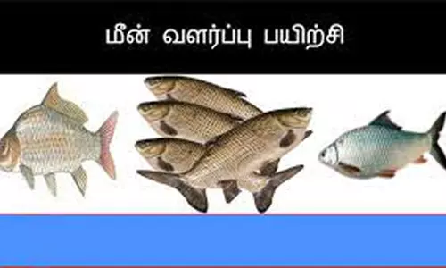 விவசாயிகளுக்கு ஒருங்கிணைந்த பண்ணை முறையில் மீன் வளர்ப்பு பயிற்சி